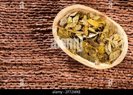 Dried coca leaves - Erythroxylum coca Stock Photo