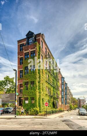 Vine-covered 119 Berkeley Street in Back Bay, Boston, Massachusetts Stock Photo