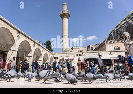 People seen feeding birds at the Mevlid-i Halil Mosque in ?anl?urfa. Stock Photo