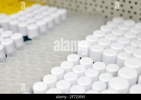 Plastic cylindrical jars with round caps for supplements or food product. White opaque containers in raw on shelf for pharmaceutical industry. Ready t Stock Photo