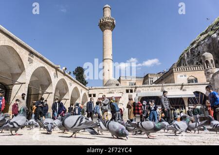 People seen feeding birds at the Mevlid-i Halil Mosque in ?anl?urfa. (Photo by Ibrahim Oner/SOPA Images/Sipa USA) Credit: Sipa USA/Alamy Live News Stock Photo