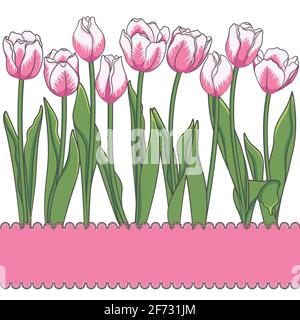 Vector card with tulips and place for an inscription. Isolated objects. Stock Vector