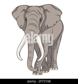 Color vector image of an elephant. Isolated object. Stock Vector