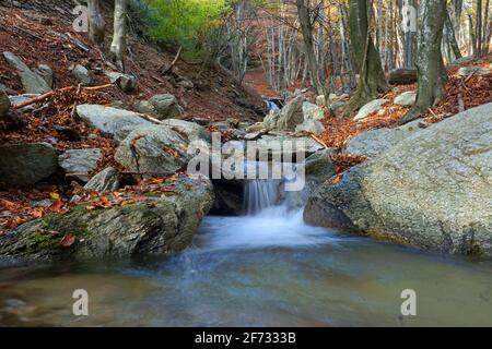 Cascades of a stream in autumn forest on the ascent to Monte Lema, Luino, Lago Maggiore, Lombardy, Italy Stock Photo