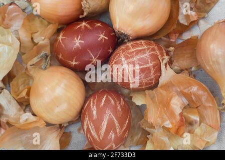 easter eggs dyed in onion shells closeup selective focus Stock Photo