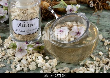 Cup (Althea officinalis) marshmallow root tea, marshmallow, roots, marshmallow roots, marshmallow root tea, Ade root, Altee, Alter Thee, Alte Eh Stock Photo