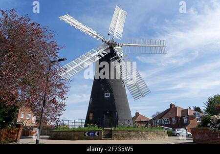 Holgate Windmill against a blue sky background Stock Photo