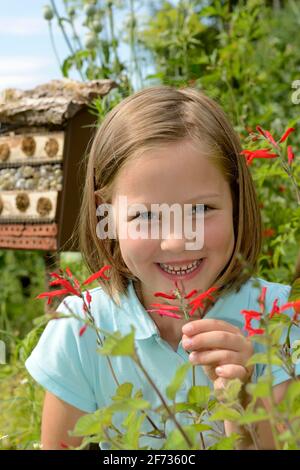 Girl smells of sage (Salvia officinalis), honeydew melon sage Stock Photo
