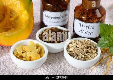 Prostate medicine, nettle root, pumpkin seeds (Cucurbita) (Sabal serrulata) (Fructus Sabalae serrulatae) (Urtica dioica), saw palmetto fruits, saw Stock Photo