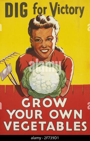 A vintage WW2 poster informing people about food, saying Dig For Victory, Grow Your Own Vegatables Stock Photo