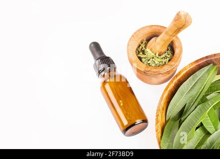 Lemon Verbena essential oil and leaves. Aloysia citrodora Stock Photo