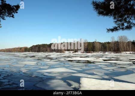 Beautiful natural landscape with ice drift on the spring river and forest trees on opposite bank under cloudless blue sky on sunny day Stock Photo