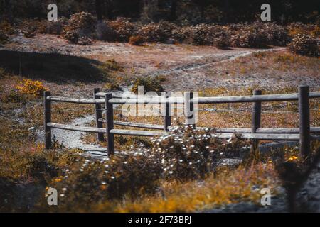 Scenery with a shallow depth of field and a selective focus on a small wooden bridge over the drain, with a bending pathway surrounded by grasses, flo Stock Photo