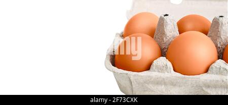 Brown eggs in a cardboard box. Isolated on a white background. Layout, layout, space for logo and text. Stock Photo