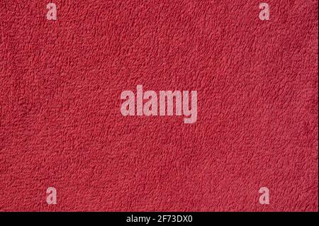Plush red texture. Macro photo. Fabric background Stock Photo
