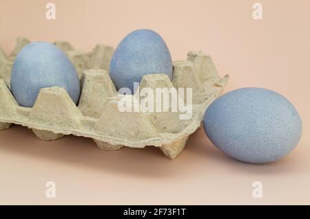 The eggs in a cardboard box are painted with natural dye: red cabbage. Easter Stock Photo