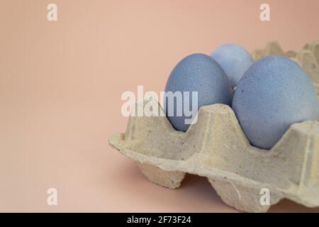 The eggs in a cardboard box are painted with natural dye: red cabbage. Easter Stock Photo