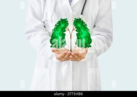 Doctor holding drawing of green tree in shape of human lungs on light background Stock Photo