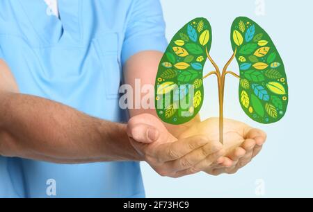 Doctor holding drawing of green tree in shape of human lungs on light background Stock Photo