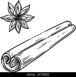 Illustration of cinnamon in engraving style. Design element for emblem, sign, poster, card, banner, flyer. Vector illustration Stock Vector