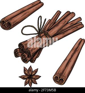 Illustration of cinnamon in engraving style. Design element for emblem, sign, poster, card, banner, flyer. Vector illustration Stock Vector