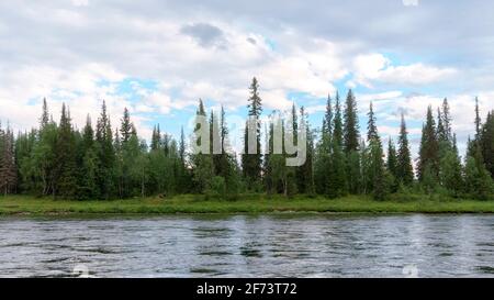 The pristine forests of Komi are a UNESCO world heritage site. Kozhim river in the Northern Urals, the national Park 'Yugyd VA'. Landscape view from t Stock Photo