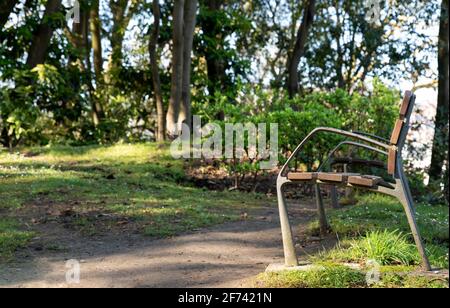 lonely bench in the park Stock Photo