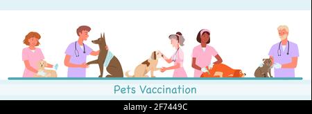 Veterinary clinic hospital, healthcare service vector illustration set. Cartoon visit to veterinarian doctor woman man characters, pet dog domestic Stock Vector