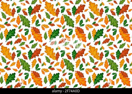 Colorful oak leaves vector seamless pattern in autumn palette. Hand drawing fall floral background.  Stock Vector