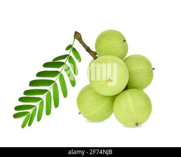 Indian gooseberry isolated on white background Stock Photo