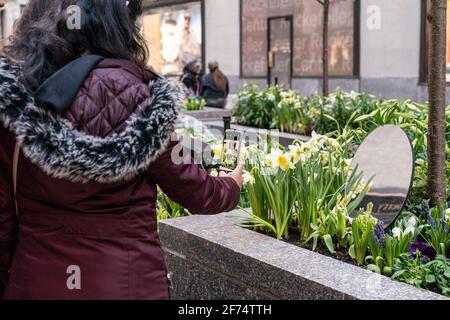 New York, United States. 03rd Apr, 2021. Easter garden with lilies, tulips, daffodils, daisies, bluebells flowers opened at Rockefeller Center in New Yokr, on April 3, 2021. Metallic Easter eggs and Easter bunnies installed throughout the plant beds. Metallic eggs produce beautiful reflections of flowers and surrounding area. (Photo by Lev Radin/Pacific Press) Credit: Pacific Press Media Production Corp./Ģ����ý Live News Stock Photo