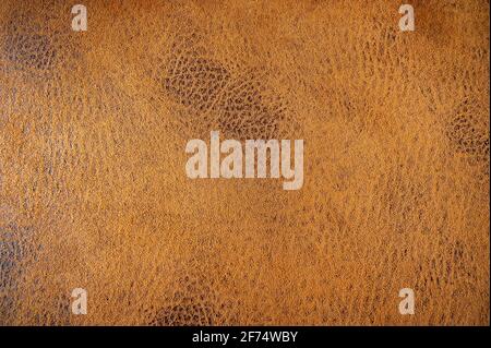 Brown leather background Stock Photo