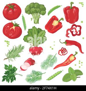 Hand drawn vegetables Stock Vector