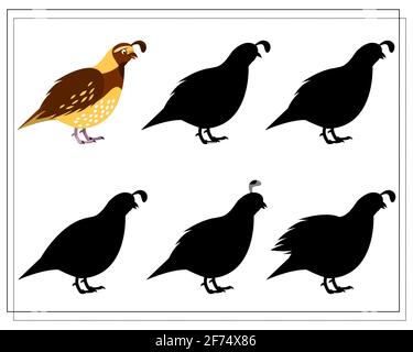 a puzzle game for preschool children. find the right shadow. Cartoon bird, quail. Silhouette. Vector Stock Vector