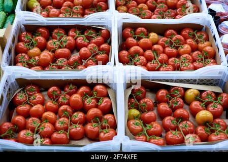 Boxes with tomatoes on a shelf in a supermarket. Stock Photo