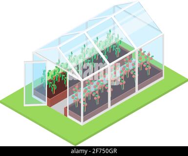 Isolated greenhouse on a white background. Flat vector isometric illustration. Stock Vector