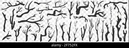 Tree branches pattern doodle set. Collection of hand drawn various branches of trees silhouettes natural pattern isolated on transparent background  Stock Vector
