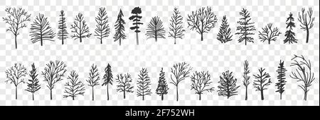 Silhouettes of trees pattern doodle set. Collection of hand drawn various black trees silhouettes in forests or parks natural pattern isolated on transparent background  Stock Vector