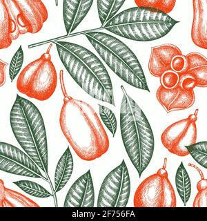 Hand drawn sketch style ackee seamless pattern. Organic fresh food vector illustration. Retro exotic fruit  background. Stock Photo