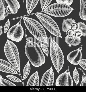 Hand drawn sketch style ackee seamless pattern. Organic fresh food vector illustration on chalk board. Retro exotic fruit  background. Stock Photo