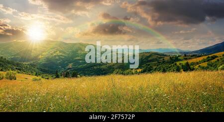 rural landscape with blooming grassy meadow at sunset. beautiful nature scenery of carpathian mountains in evening light. fluffy clouds on the blue sk Stock Photo