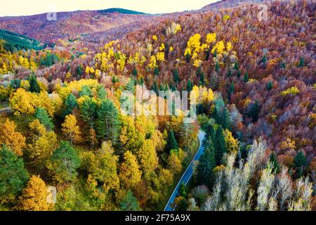 Aerial view of a decidual forest and road in autumn. Stock Photo