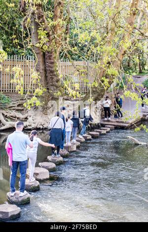 Box Hill stepping stones at the foot across river mile Stock Photo