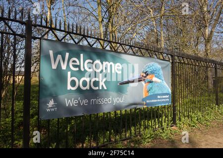 Welcome Back colourful Kingfisher signage outside the London Wetland Centre, Barnes, SW13, UK Stock Photo
