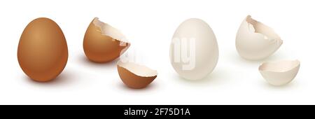 Egg and broken empty eggshell isolated on white background. Vector realistic white and brown eggs Stock Vector