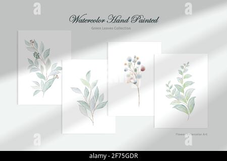 Watercolor hand painted green leaf collection. Presented on a wall with shade through, elements for decorative design Weddings, greetings, cover, stat Stock Vector