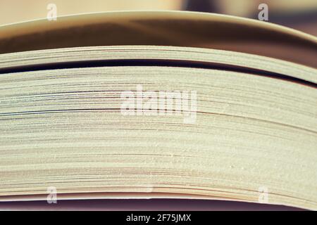 Book pages. Close-up of slightly open book pages. Blurred background, copy space. Concept of studying, business. Stock Photo