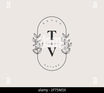TV letters Beautiful floral feminine editable premade monoline logo ...