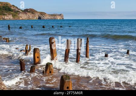 Wooden posts of old sea defences on the beach at Sandsend on the North Yorkshire coast Stock Photo