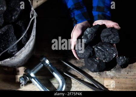 A miner holds small lumps of black coal in his hands over a wooden platform Stock Photo